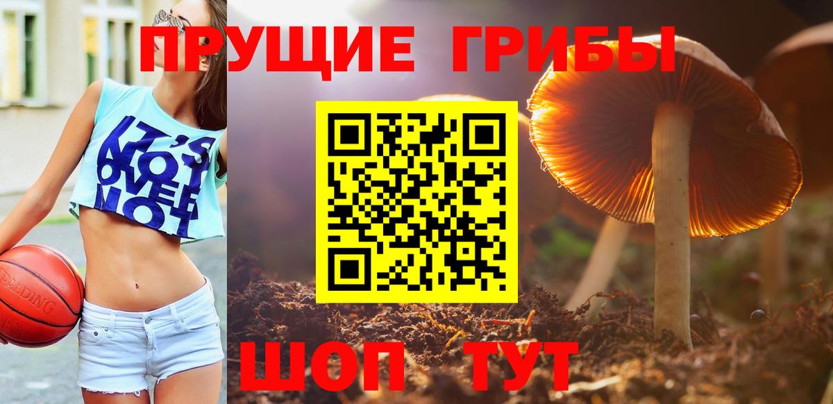 Галлюциногенные грибы мухоморы Кировск